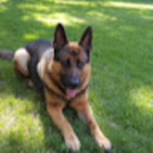 Meet your Posher, Paul